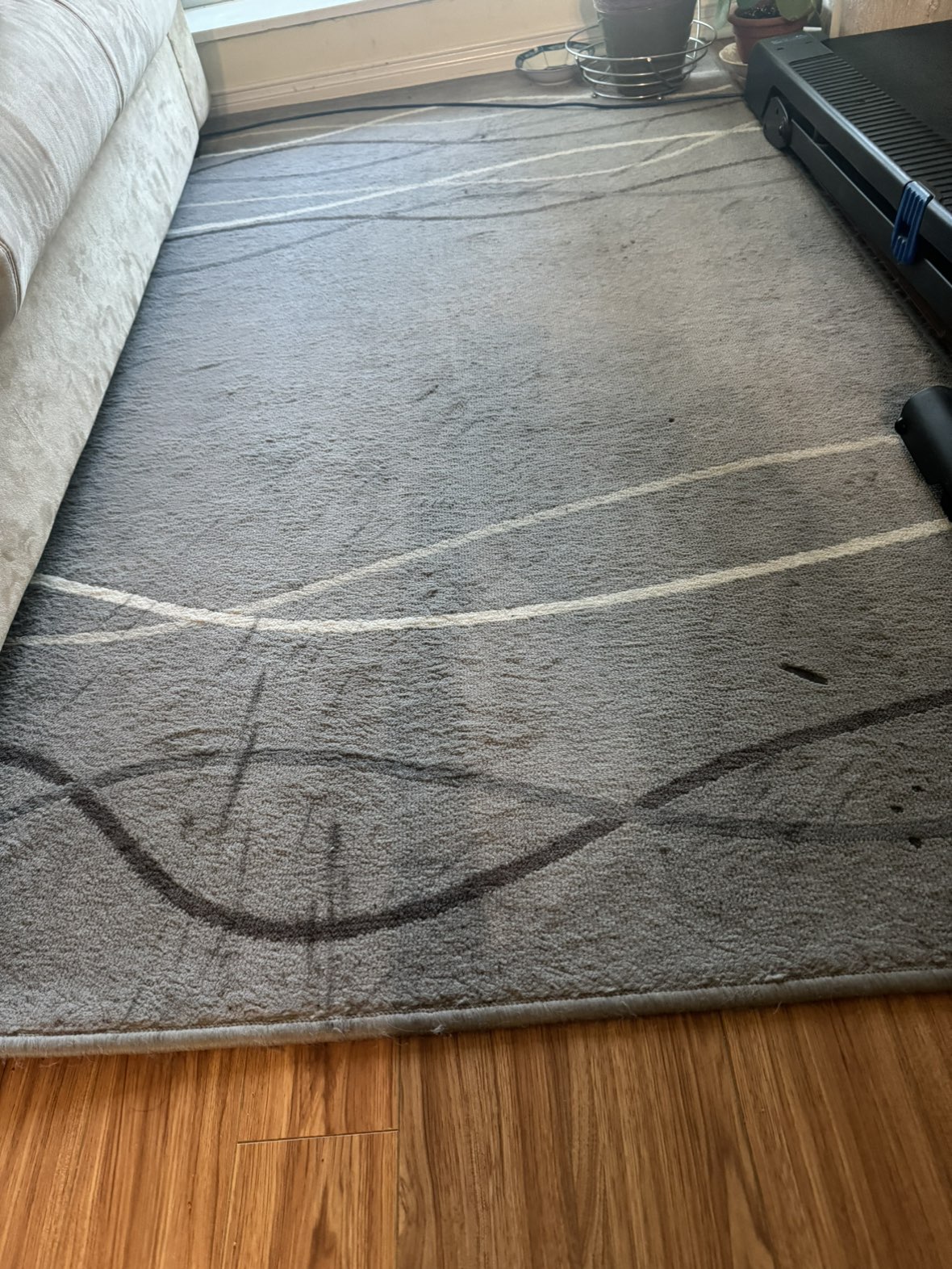 Rug - free - photo 2