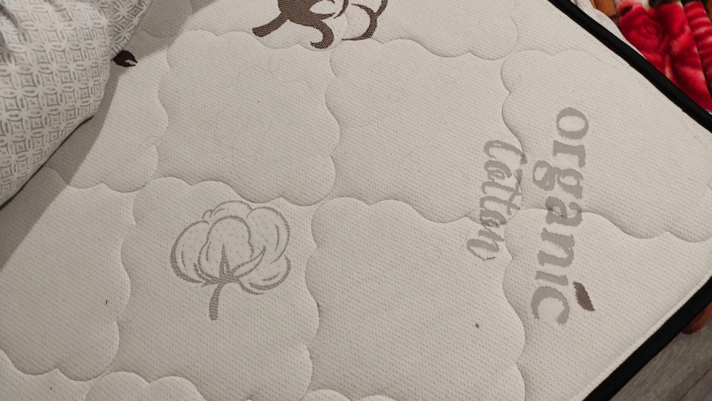 twin mattress and base