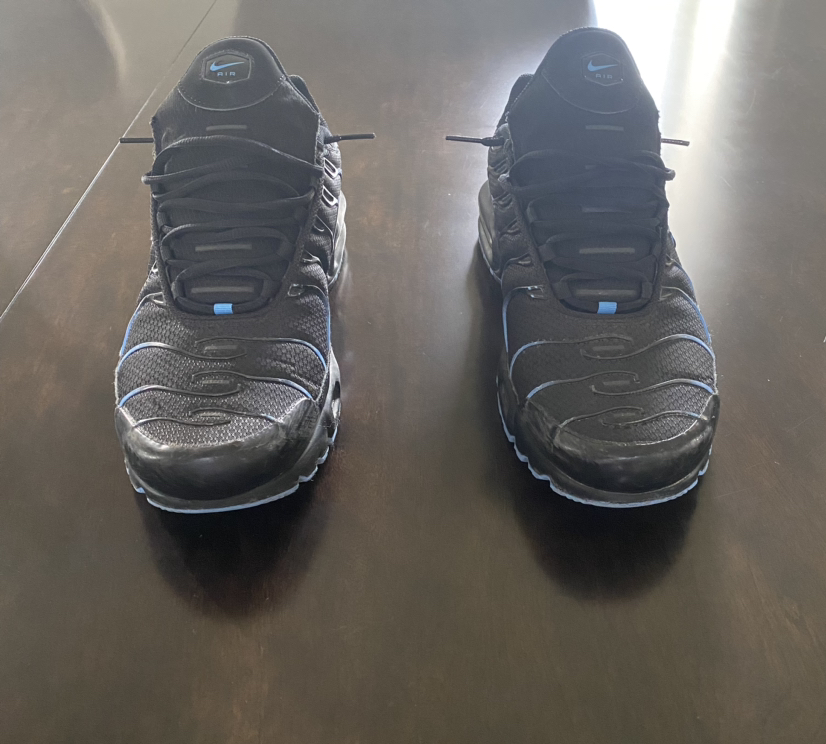 Nike Air Max Plus (TNs)