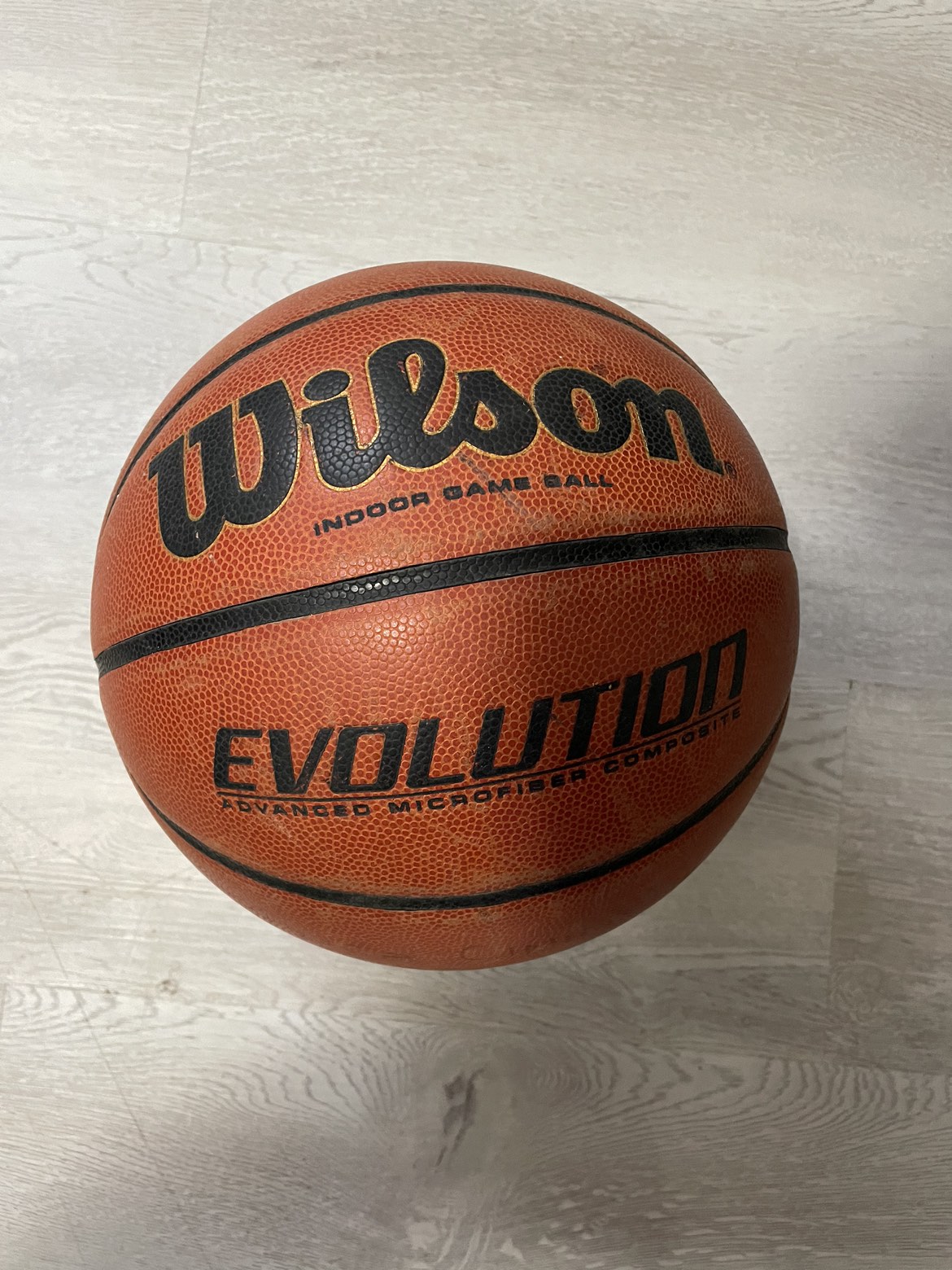Wilson Basketball