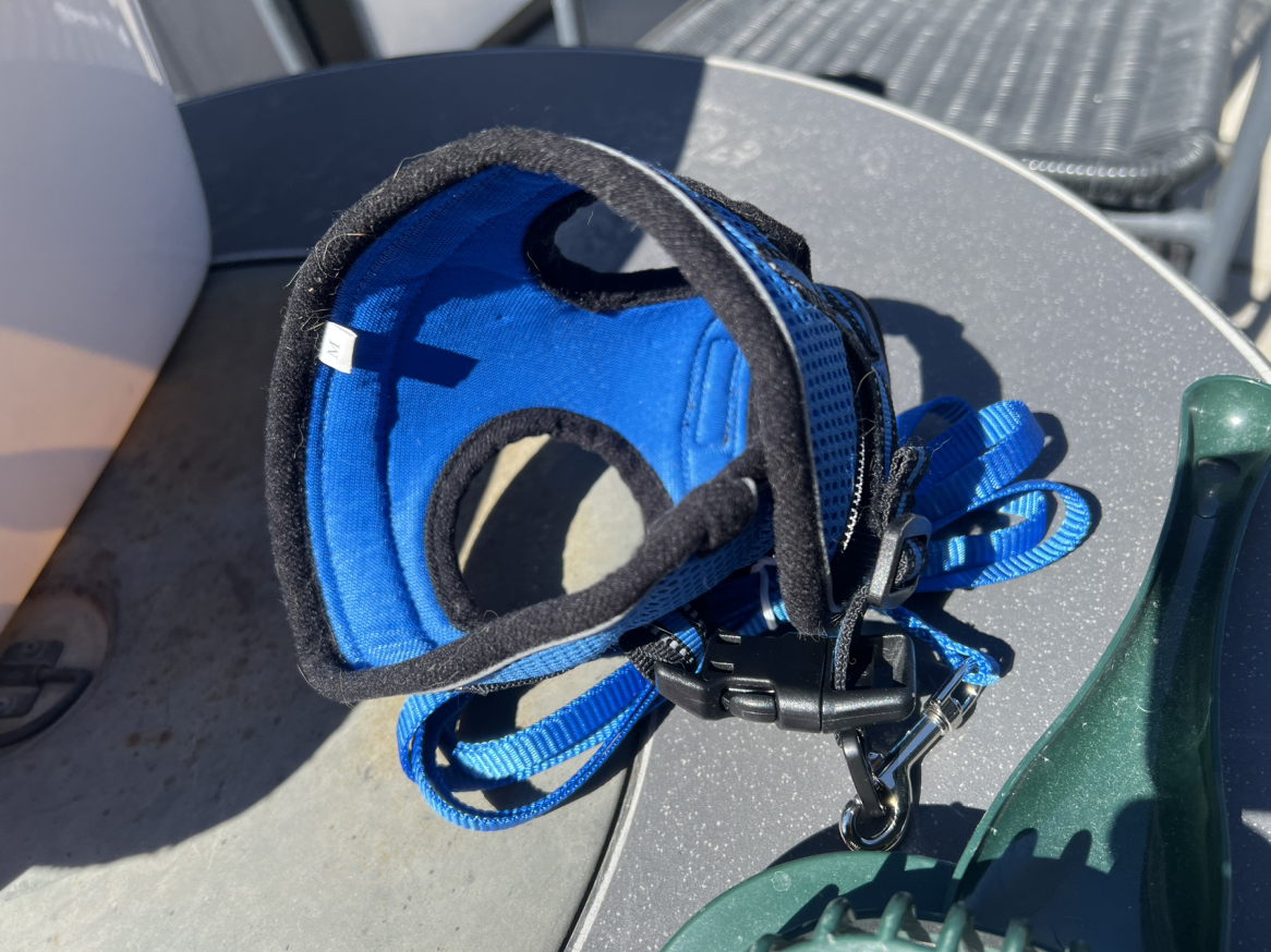 Cat accessories - photo 3