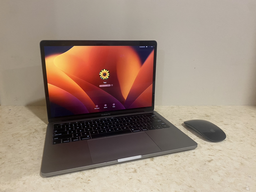 MacBook Pro 13-inch Plus Magic Mouse