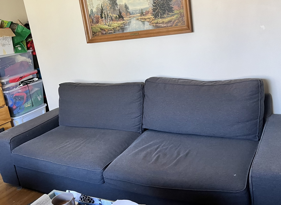 Fabric couch