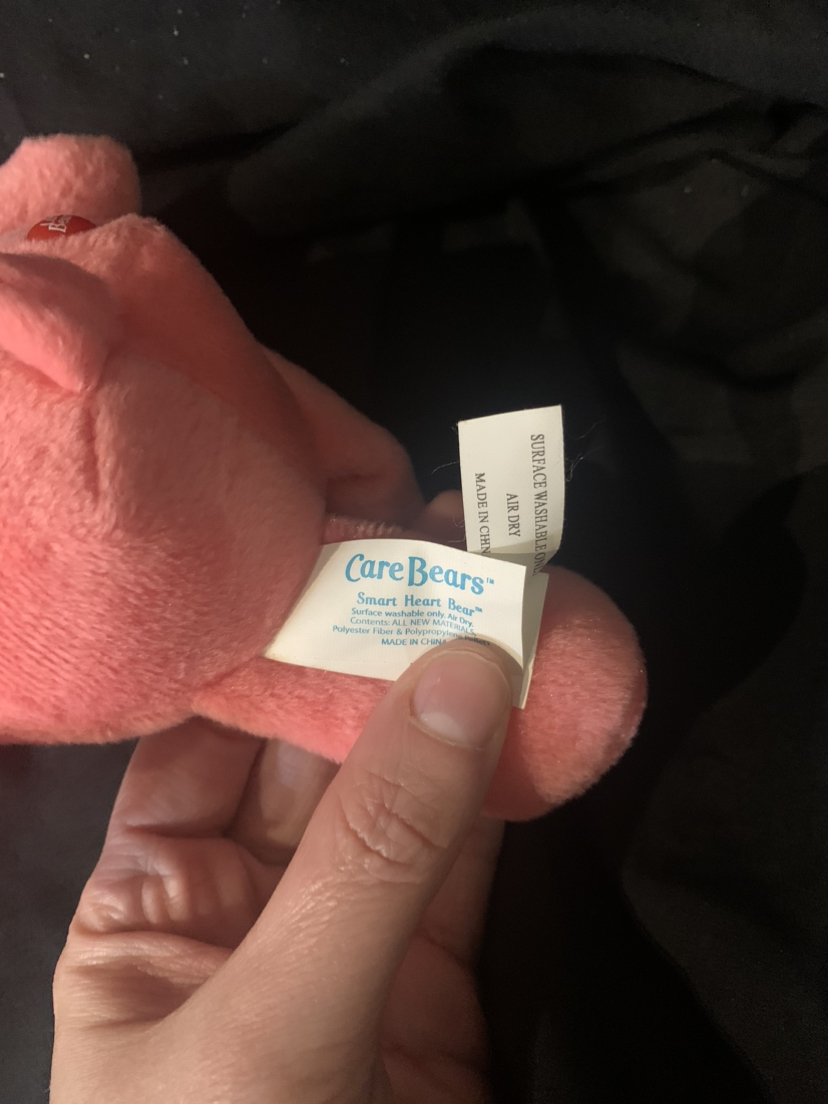 $40 Rare Smart care bear 9” (2004) - photo 4