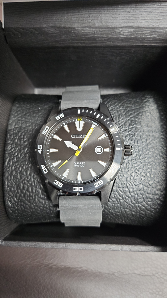 Citizen Men's Stainless Steel Watch with Rubber Strap