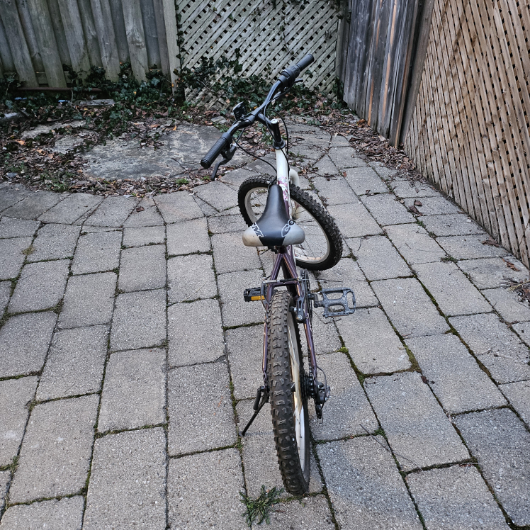 kid bike CCM Sprint 6 gears image indicator(4)