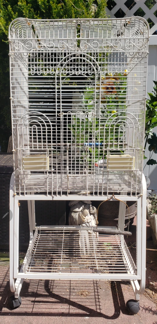 white bird cage