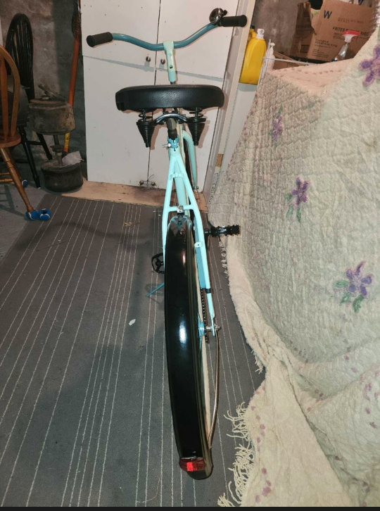 custom beach cruiser - photo 4
