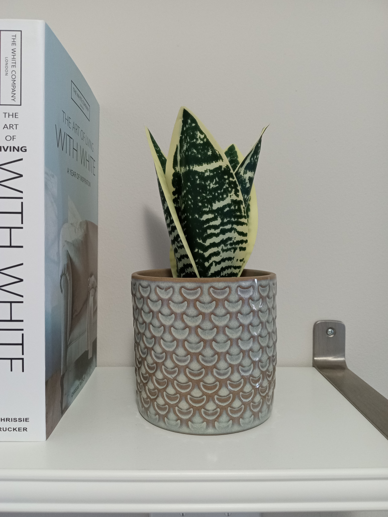Pot + plant Ikea thumbnail