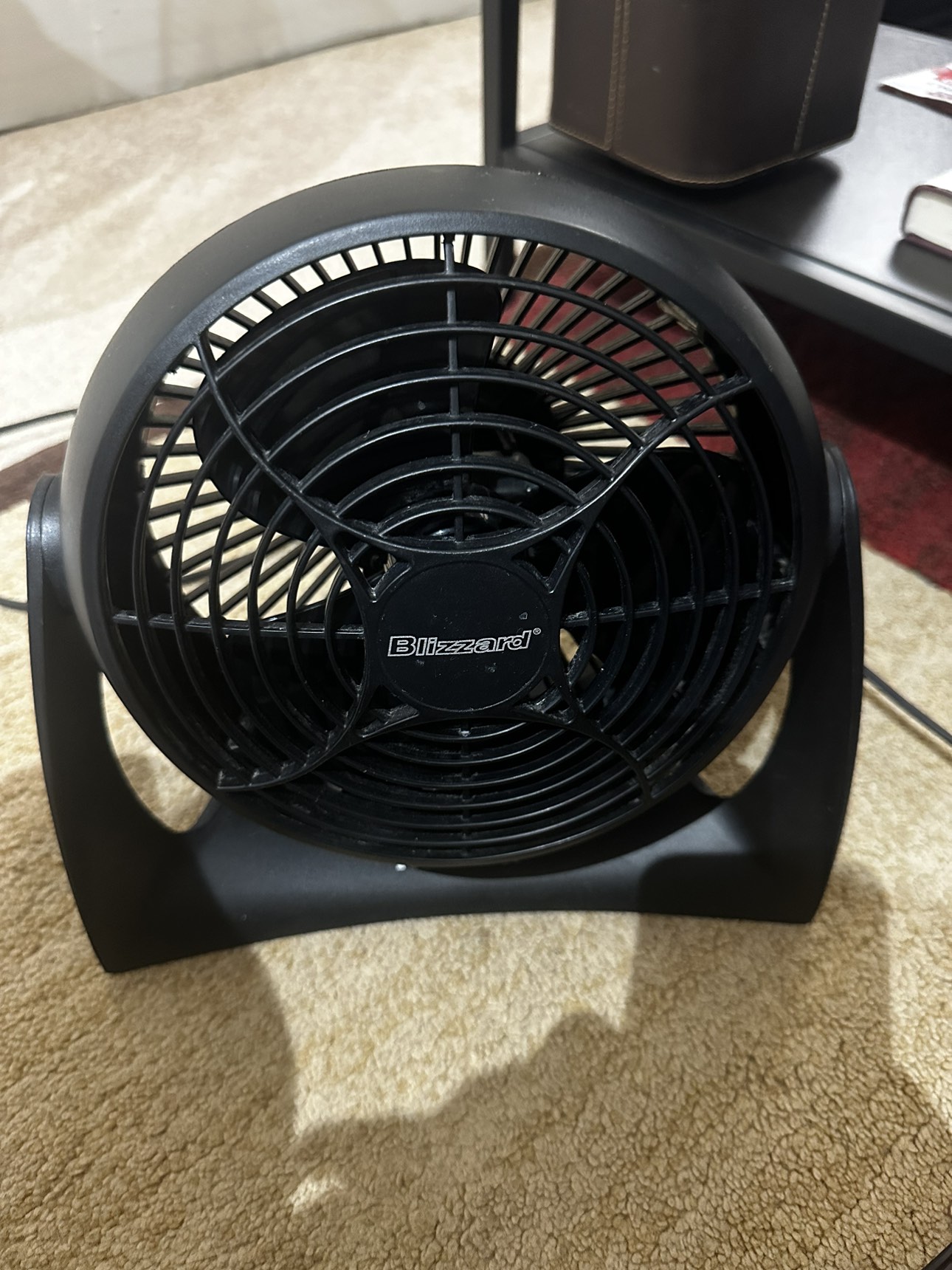Blizzard Fan