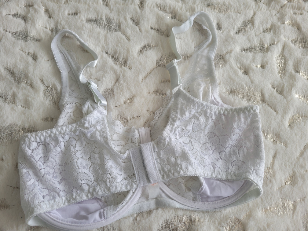 Ladies Bra image indicator(2)