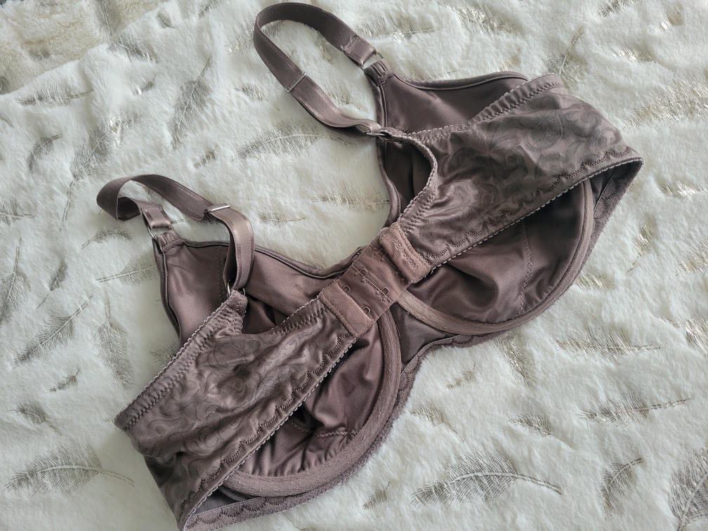 Ladies Bra image indicator(9)