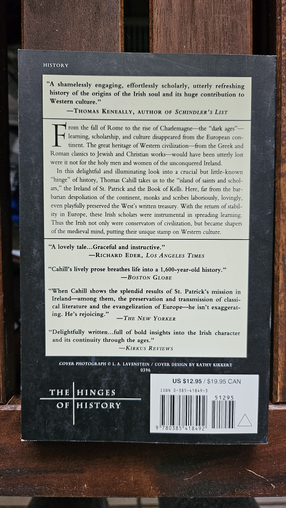 BOOK: HOW THE IRISH SAVED CIVILIZATION image indicator(2)