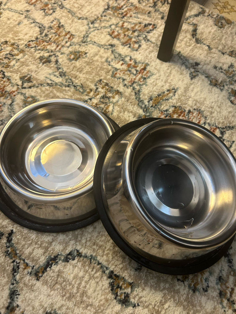Pet Feeding Bowl