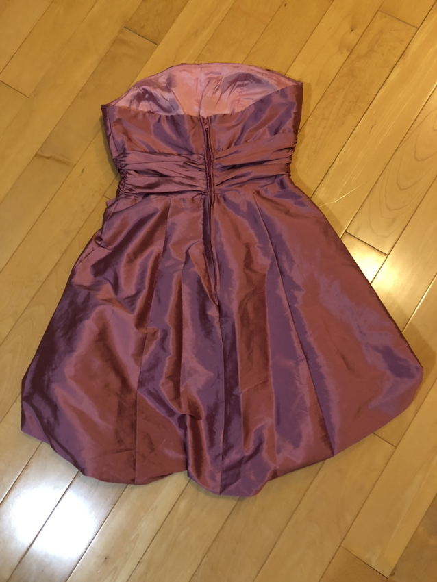 🥳 Laura Petites Dress for special occasion image indicator(3)