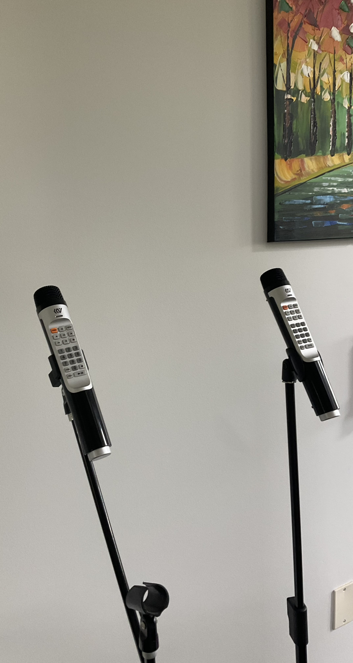 Wireless microphone karaoke - photo 3