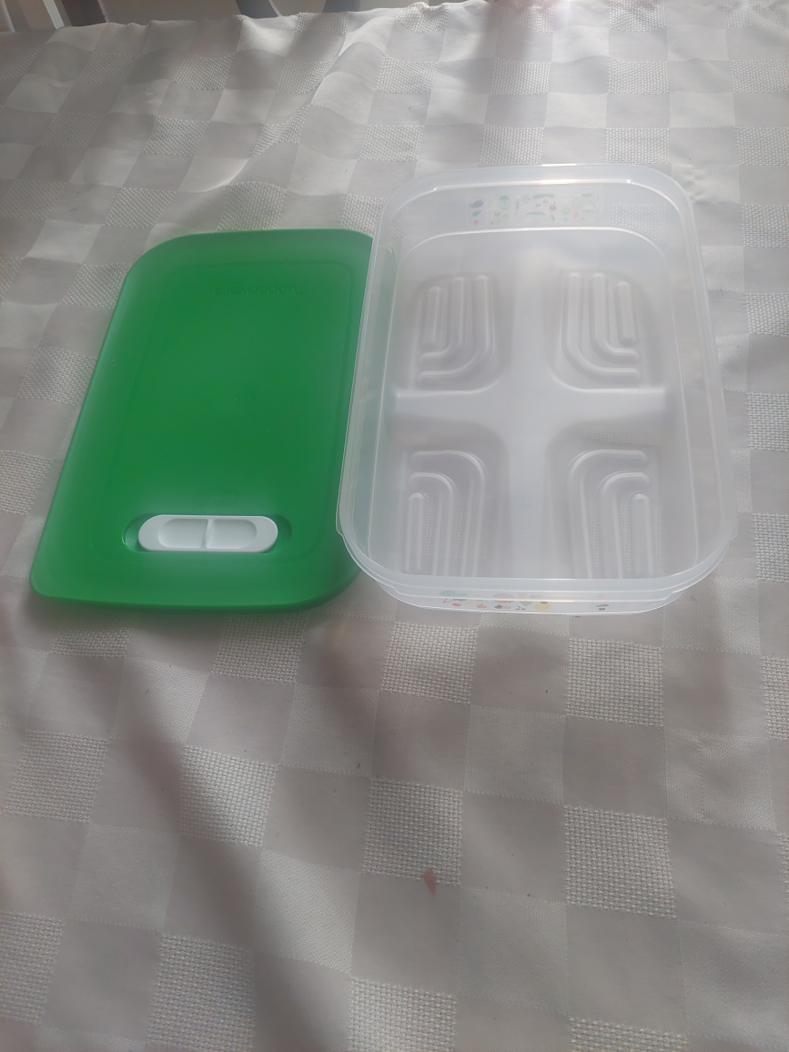 Tupperware Fridgesmart
