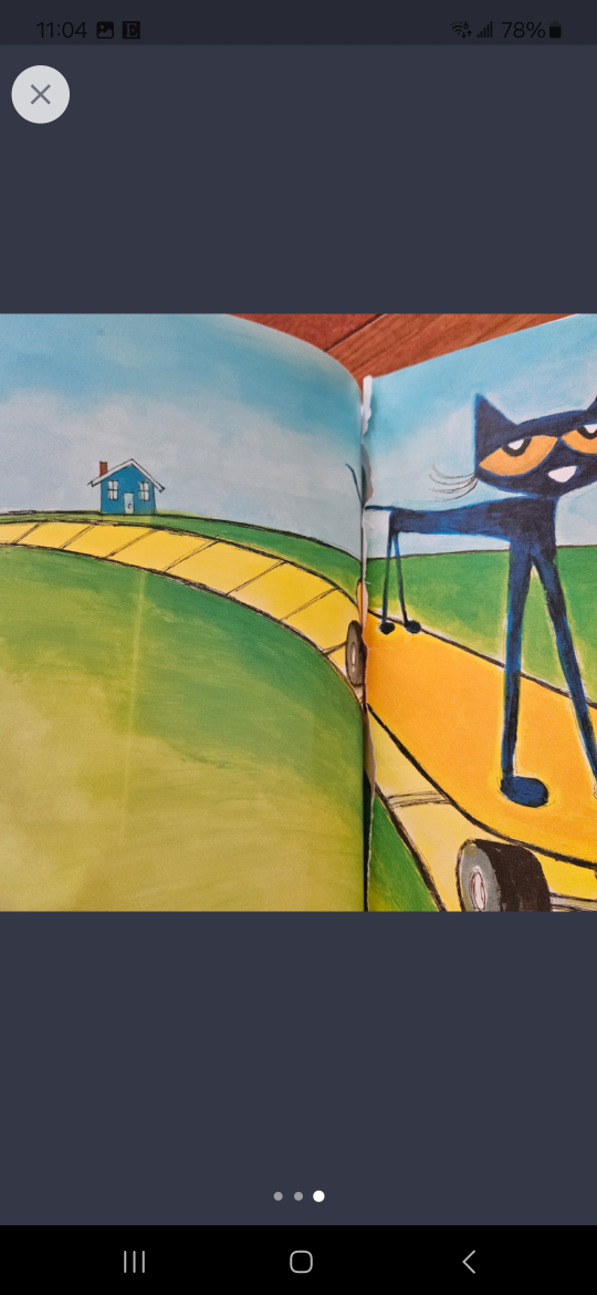 Pete the Cat children's story book - photo 3