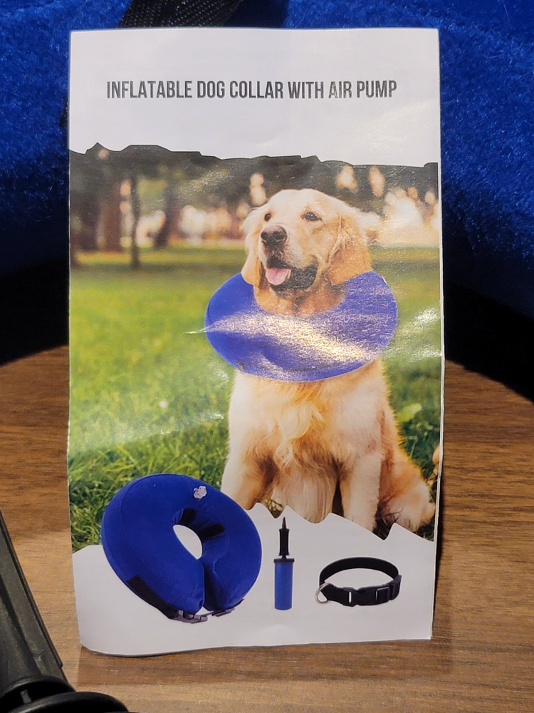 dog collar thumbnail