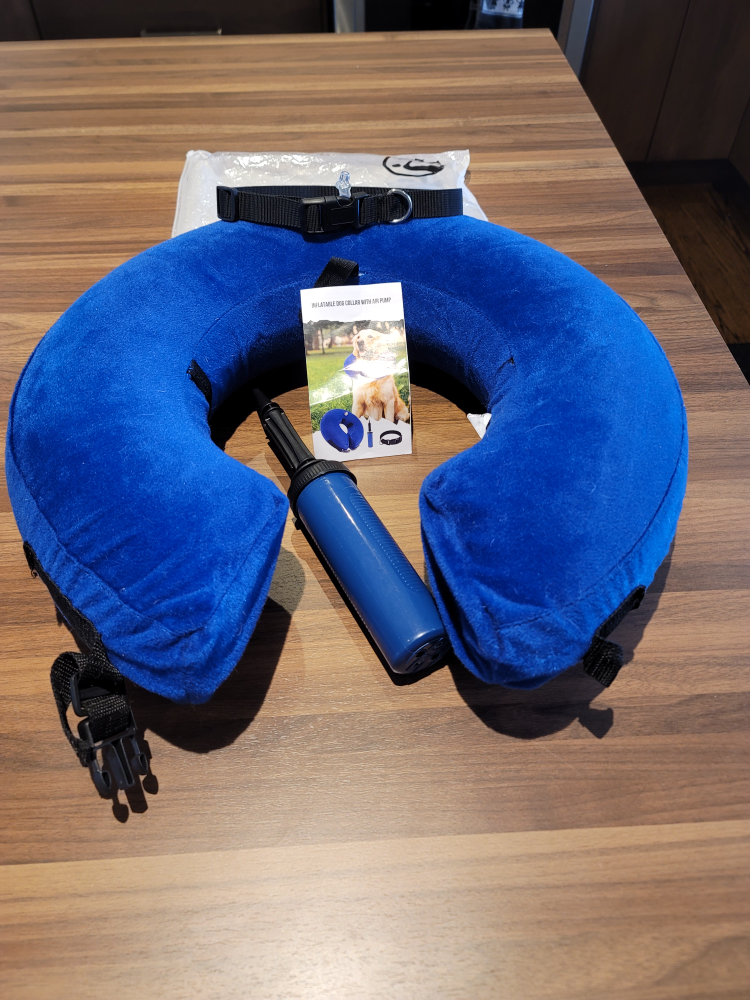 dog collar image indicator(2)