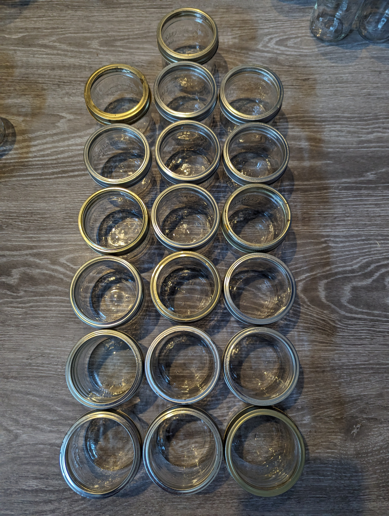 19 Canning Jars