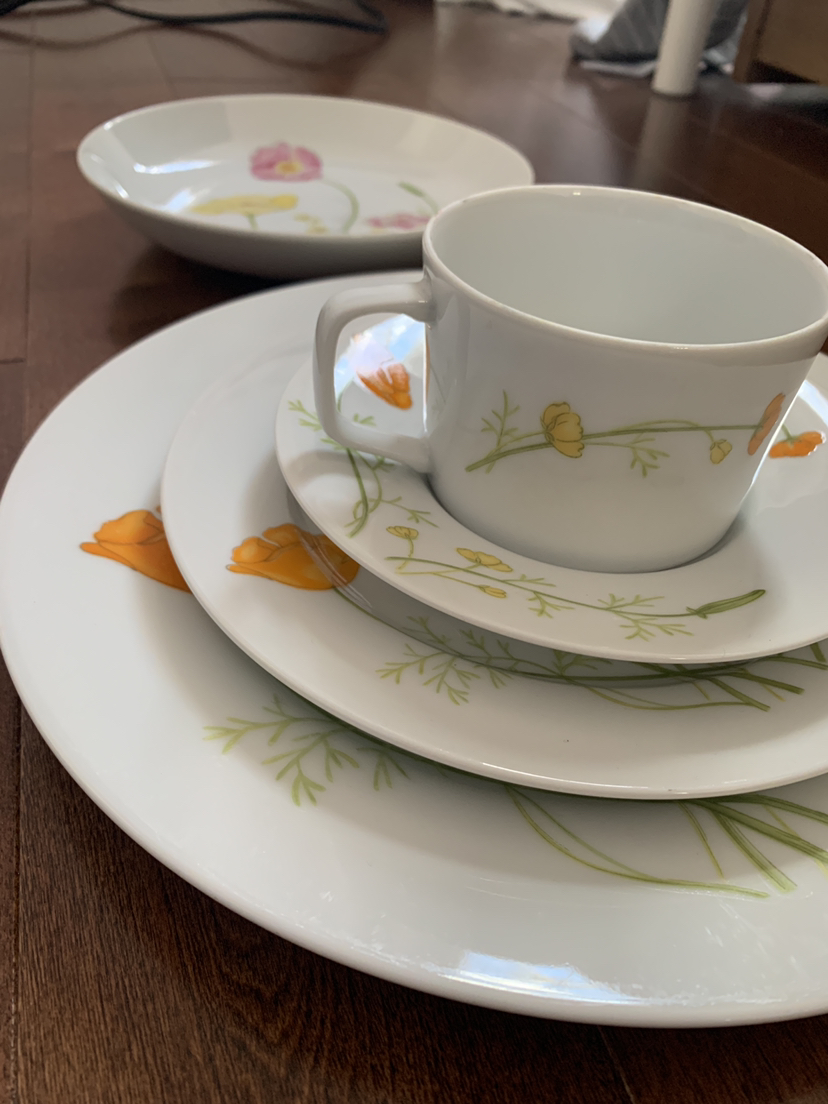 🥕Full Set: Jardin Genevieve fine china image indicator(4)