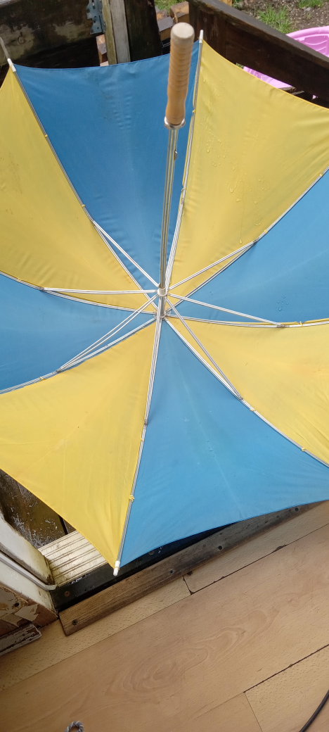 #FREECYCLE LARGE IKEA UMBRELLA image indicator(3)