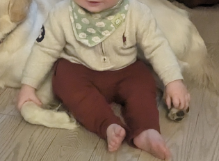 baby clothes 3 months to 24 months image indicator(3)