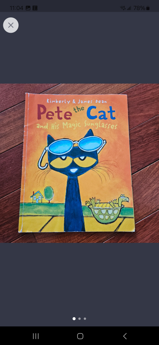 Pete the Cat children's story book