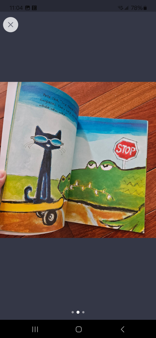 Pete the Cat children's story book - photo 2