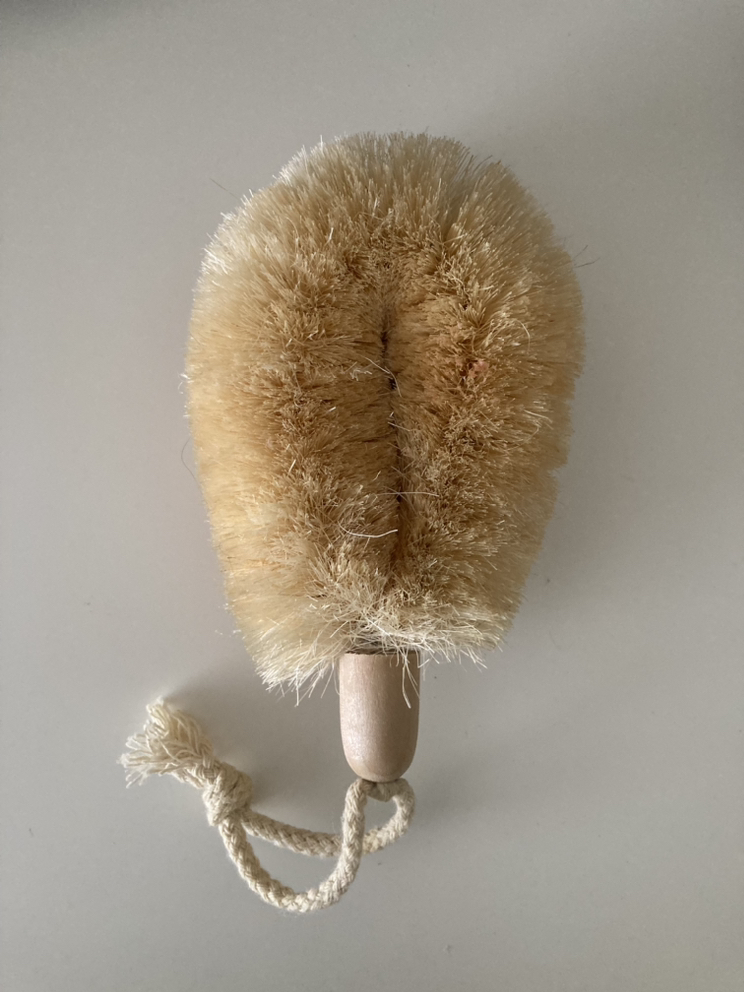 Body brush #freecycle thumbnail