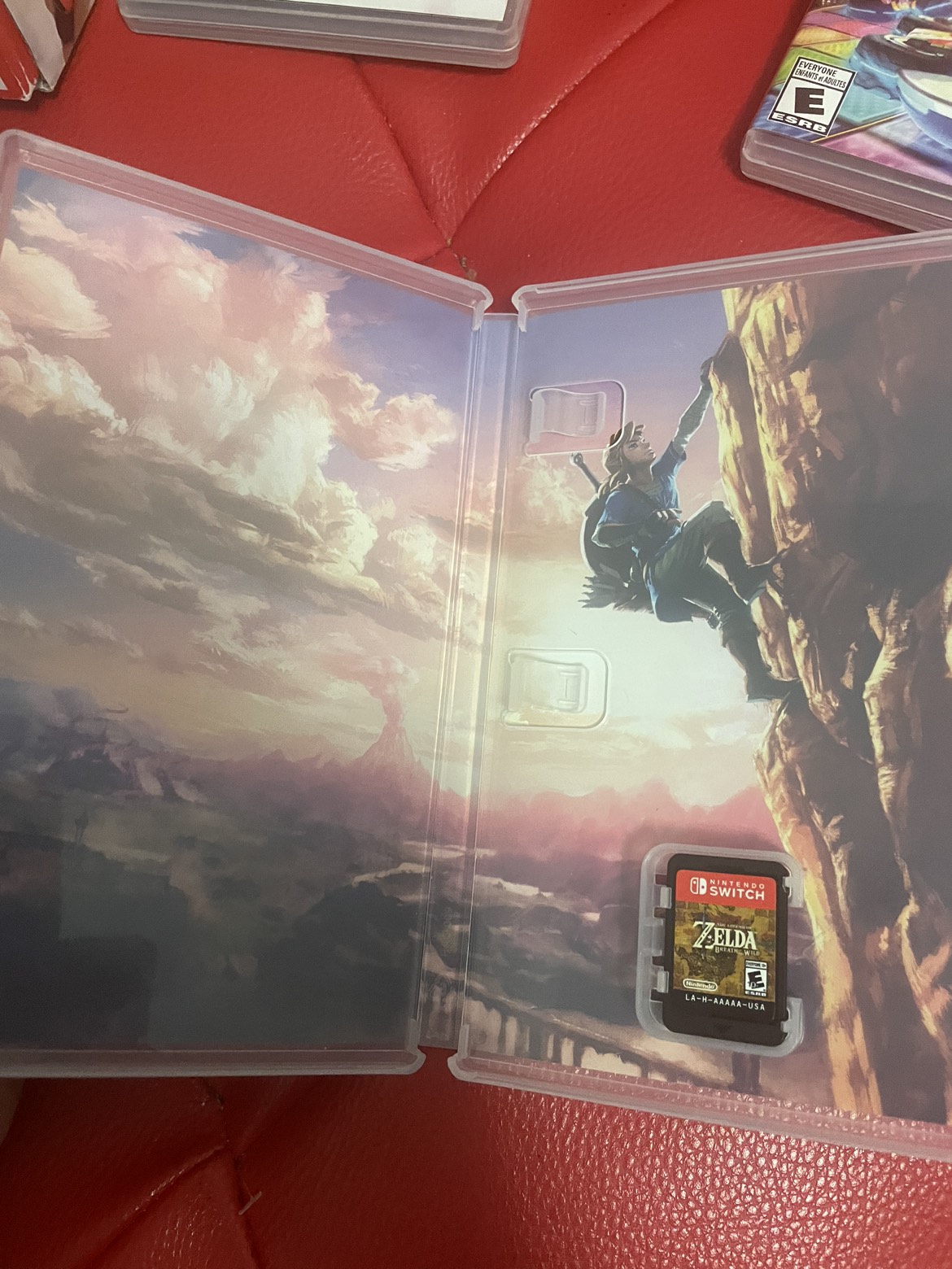 Nintendo switch image indicator(2)