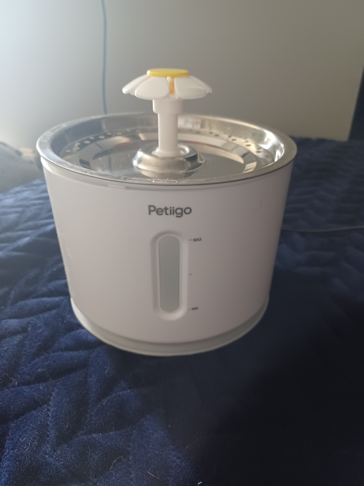 Petiigo Cat Fountain