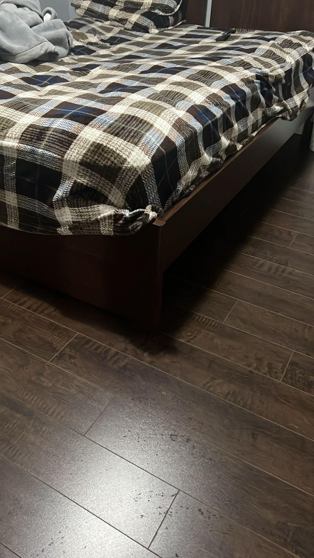 Free queen size mattress