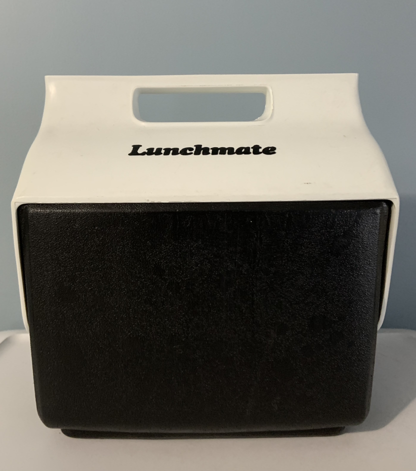 igloo Lunchmate mini cooler lunch box