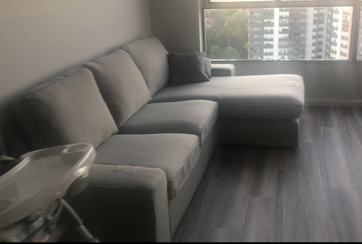 IKEA Love Seat Sofa With Chase