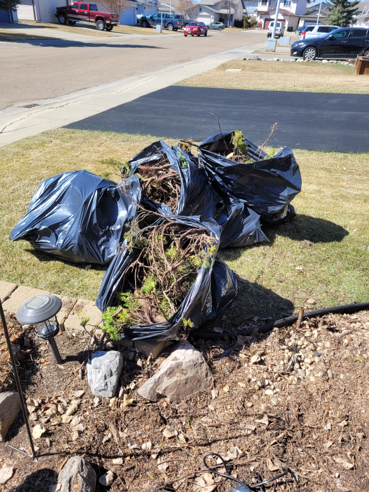 4 bags of cedar branches firewood