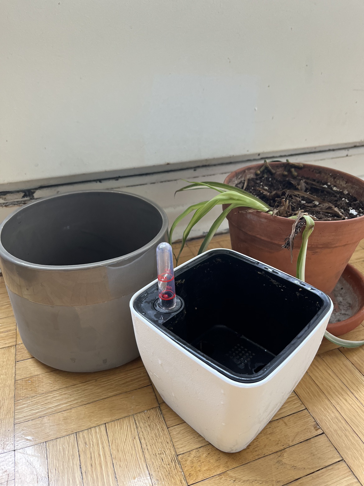 Plants and pots - photo 4