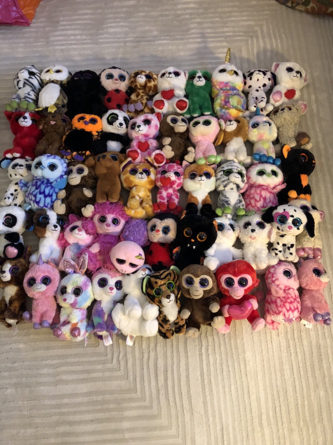 101 Beanie Boos