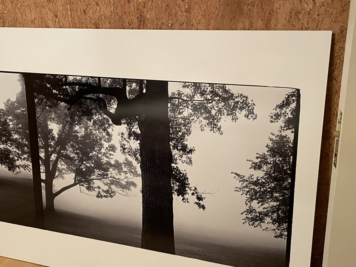 Large wall art. Photos of High Park 95.5”l 43.75”h - photo 2