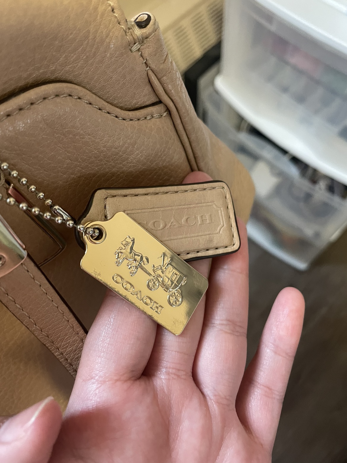 Coach Purse with Dustbag image indicator(2)