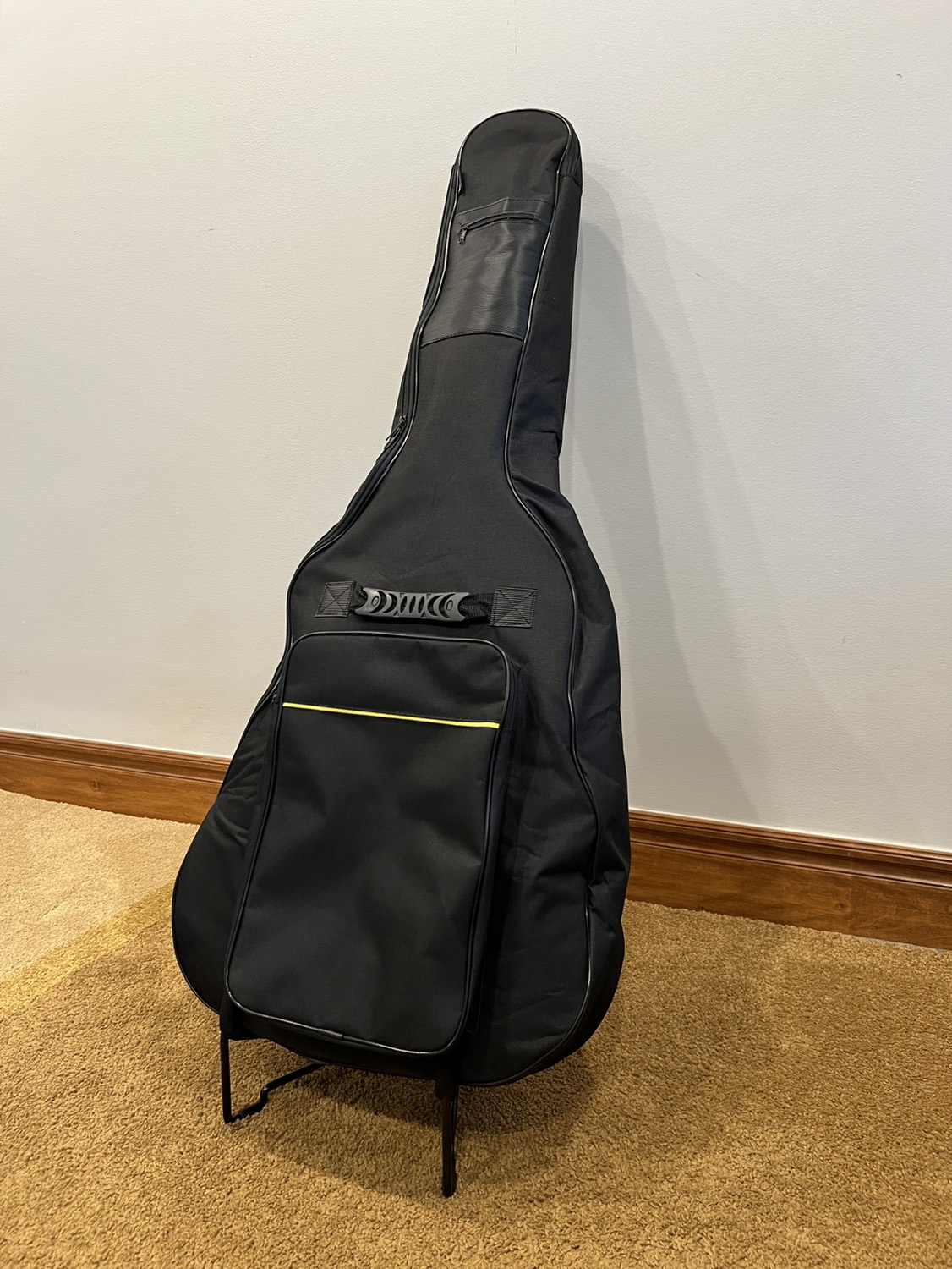 Guitar Case/Cover - Half Price - photo 2