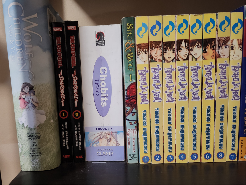 Manga Lot - photo 4