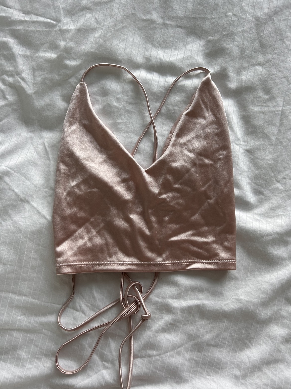 Pink Satin Tie Up / Backless Top (Small) image indicator(3)