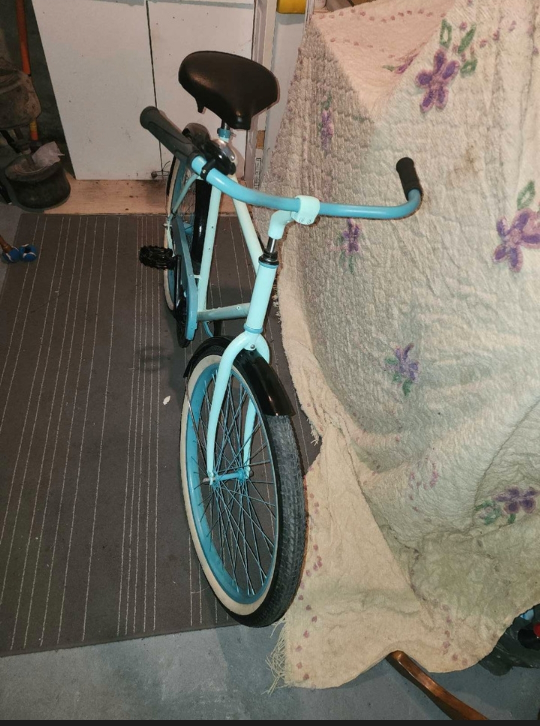 custom beach cruiser - photo 3