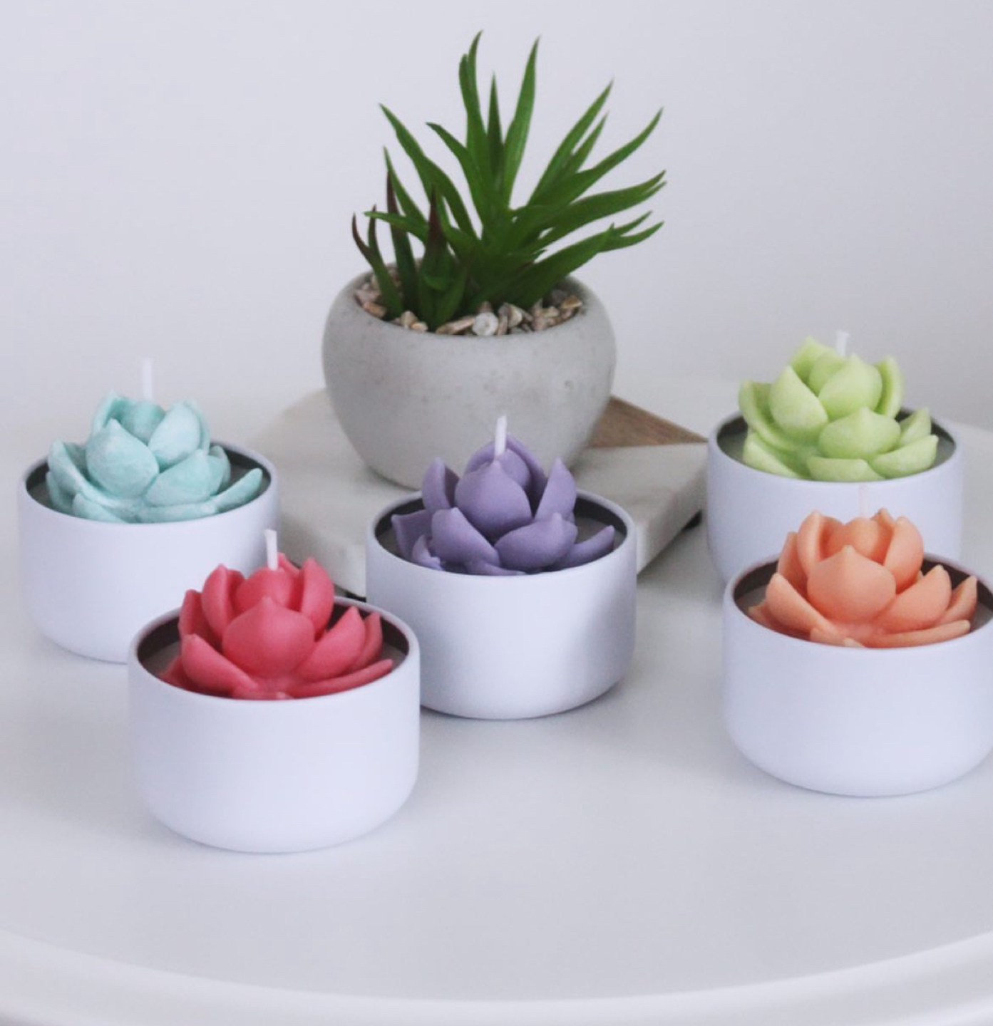 Flower, succulent, plant silicone mold - photo 5