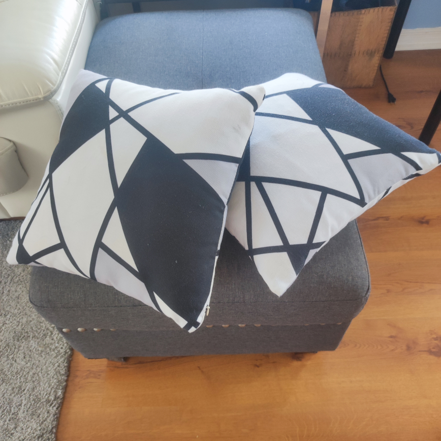 2 Cushions Black and White thumbnail