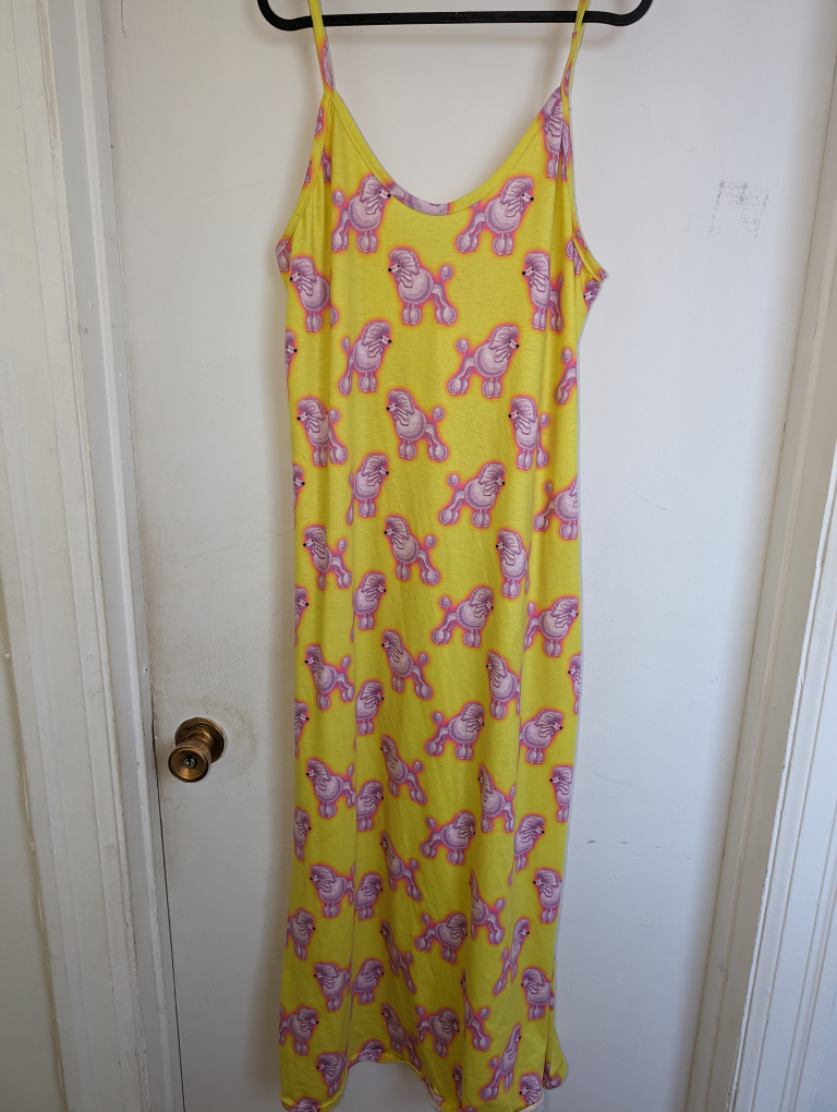 Hayley Elsaesser poodle dress