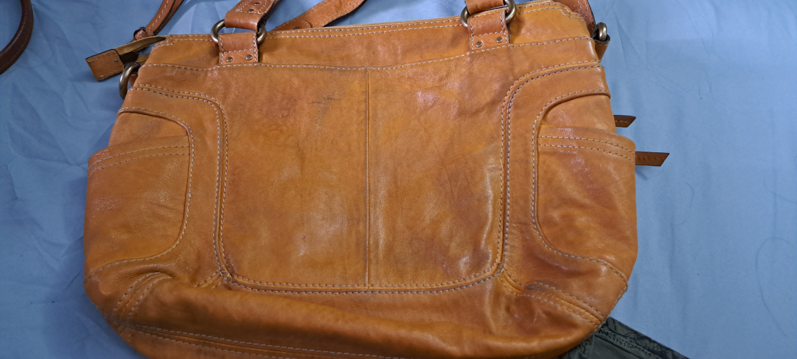 Fossil bag image indicator(6)