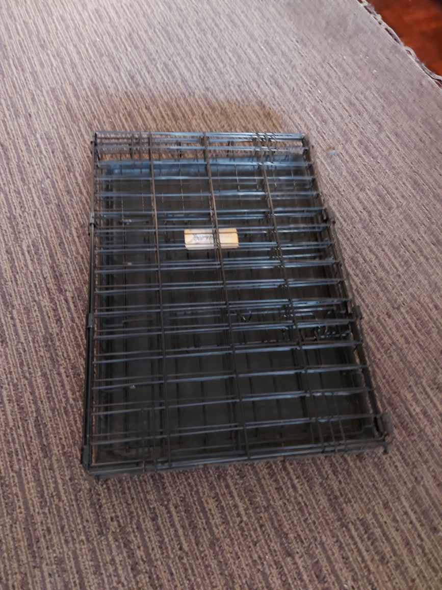 Small dog crate, collapses, removable tray 17" W x 24" L x 19" T image indicator(7)
